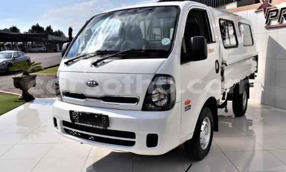 اشتري مستعمل Kia Cadenza White سيارة في Maputsoa في Leribe اشتري مستعمل Kia Cadenza White سيارة في Maputsoa في Leribe