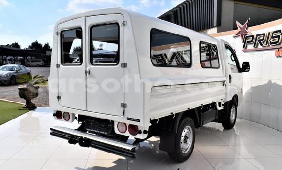 اشتري مستعمل Kia Cadenza White سيارة في Maputsoa في Leribe اشتري مستعمل Kia Cadenza White سيارة في Maputsoa في Leribe