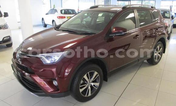 Sayi Na hannu Toyota RAV4 Beige Mota in Butha–Buthe a Thaba-Tseka Sayi Na hannu Toyota RAV4 Beige Mota in Butha–Buthe a Thaba-Tseka