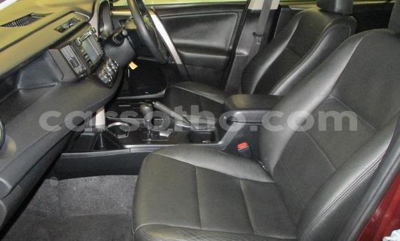 Sayi Na hannu Toyota RAV4 Beige Mota in Butha–Buthe a Thaba-Tseka Sayi Na hannu Toyota RAV4 Beige Mota in Butha–Buthe a Thaba-Tseka