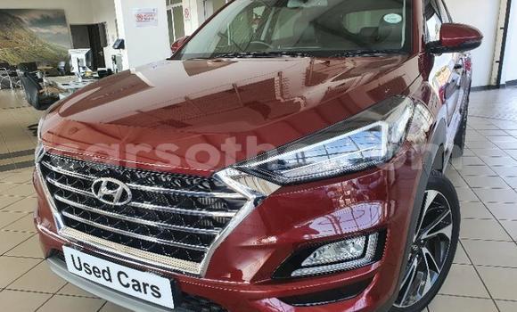Sayi Na hannu Hyundai Tucson Red Mota in Maseru a Maseru Sayi Na hannu Hyundai Tucson Red Mota in Maseru a Maseru