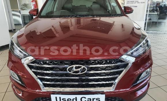 Sayi Na hannu Hyundai Tucson Red Mota in Maseru a Maseru Sayi Na hannu Hyundai Tucson Red Mota in Maseru a Maseru