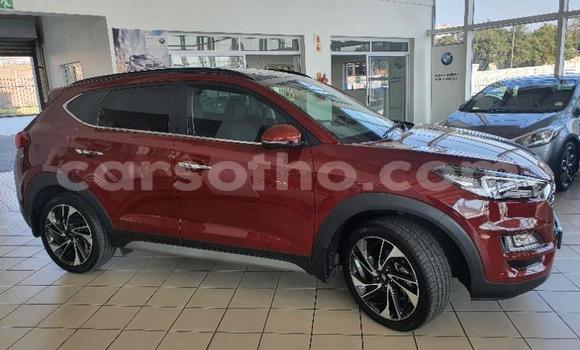 Sayi Na hannu Hyundai Tucson Red Mota in Maseru a Maseru Sayi Na hannu Hyundai Tucson Red Mota in Maseru a Maseru
