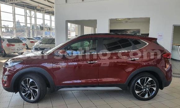Sayi Na hannu Hyundai Tucson Red Mota in Maseru a Maseru Sayi Na hannu Hyundai Tucson Red Mota in Maseru a Maseru