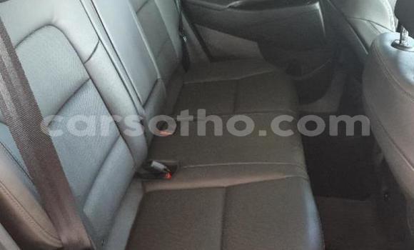Sayi Na hannu Hyundai Tucson Red Mota in Maseru a Maseru Sayi Na hannu Hyundai Tucson Red Mota in Maseru a Maseru