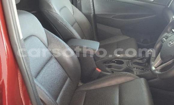 Sayi Na hannu Hyundai Tucson Red Mota in Maseru a Maseru Sayi Na hannu Hyundai Tucson Red Mota in Maseru a Maseru