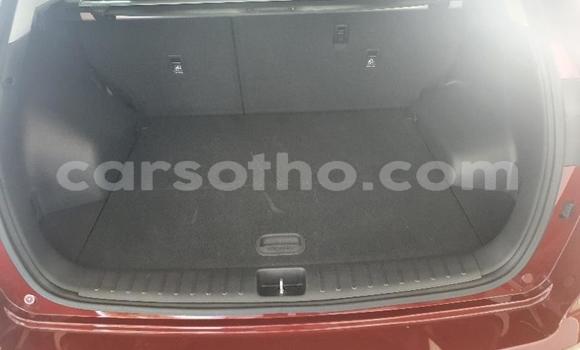 Sayi Na hannu Hyundai Tucson Red Mota in Maseru a Maseru Sayi Na hannu Hyundai Tucson Red Mota in Maseru a Maseru