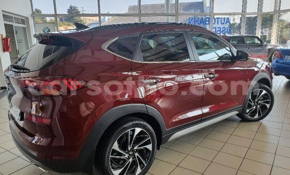 Sayi Na hannu Hyundai Tucson Red Mota in Maseru a Maseru Sayi Na hannu Hyundai Tucson Red Mota in Maseru a Maseru