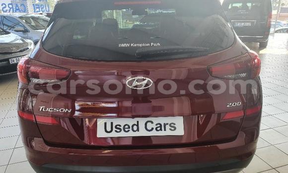 Sayi Na hannu Hyundai Tucson Red Mota in Maseru a Maseru Sayi Na hannu Hyundai Tucson Red Mota in Maseru a Maseru