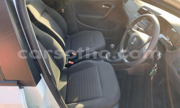 Buy Used Volkswagen Polo White Car in Maseru in Maseru Buy Used Volkswagen Polo White Car in Maseru in Maseru