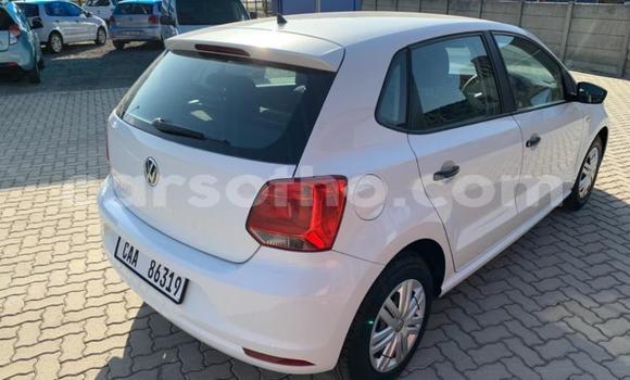 Buy Used Volkswagen Polo White Car in Maseru in Maseru Buy Used Volkswagen Polo White Car in Maseru in Maseru