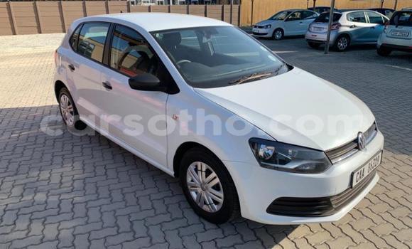 Buy Used Volkswagen Polo White Car in Maseru in Maseru Buy Used Volkswagen Polo White Car in Maseru in Maseru