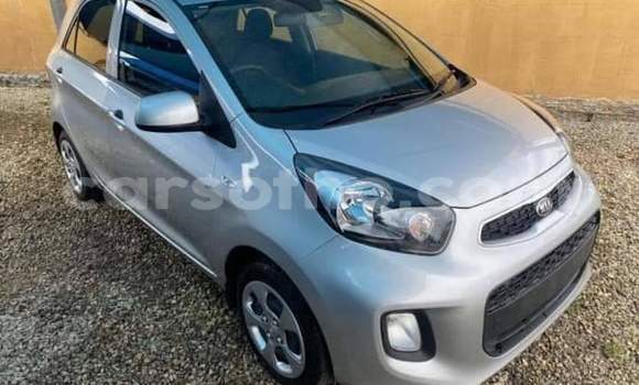 Buy Used Kia Picanto Silver Car in Maseru in Maseru Buy Used Kia Picanto Silver Car in Maseru in Maseru