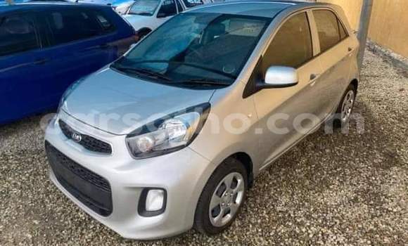 Buy Used Kia Picanto Silver Car in Maseru in Maseru Buy Used Kia Picanto Silver Car in Maseru in Maseru