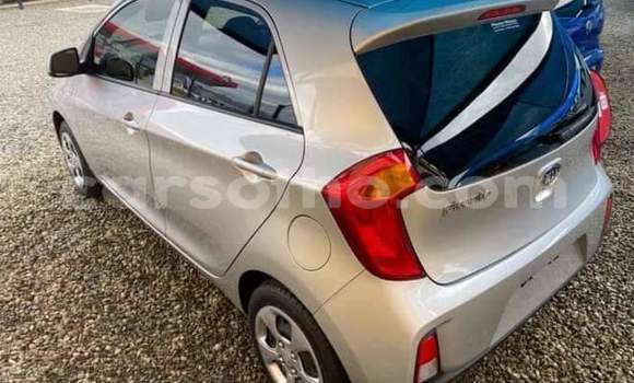 Buy Used Kia Picanto Silver Car in Maseru in Maseru Buy Used Kia Picanto Silver Car in Maseru in Maseru