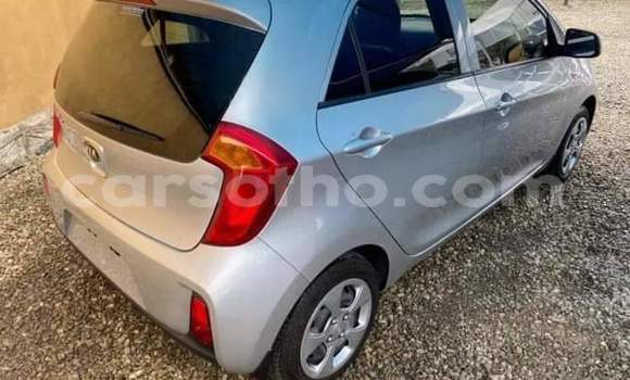 Buy Used Kia Picanto Silver Car in Maseru in Maseru Buy Used Kia Picanto Silver Car in Maseru in Maseru