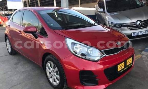 Buy Used Kia Rio Red Car in Maseru in Maseru Buy Used Kia Rio Red Car in Maseru in Maseru