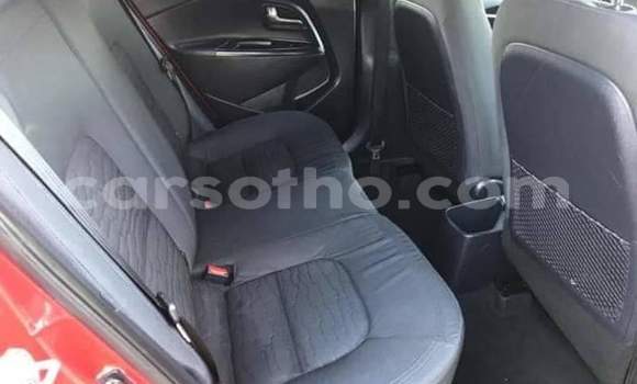 Buy Used Kia Rio Red Car in Maseru in Maseru Buy Used Kia Rio Red Car in Maseru in Maseru