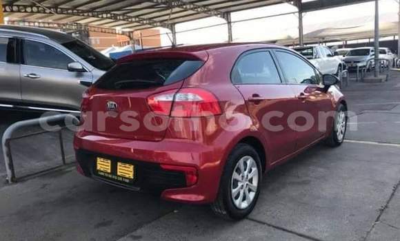 Buy Used Kia Rio Red Car in Maseru in Maseru Buy Used Kia Rio Red Car in Maseru in Maseru
