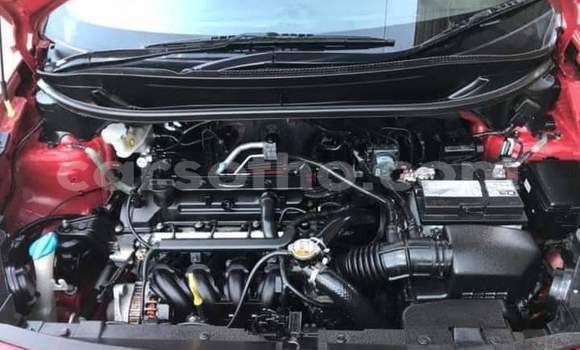 Buy Used Kia Rio Red Car in Maseru in Maseru Buy Used Kia Rio Red Car in Maseru in Maseru