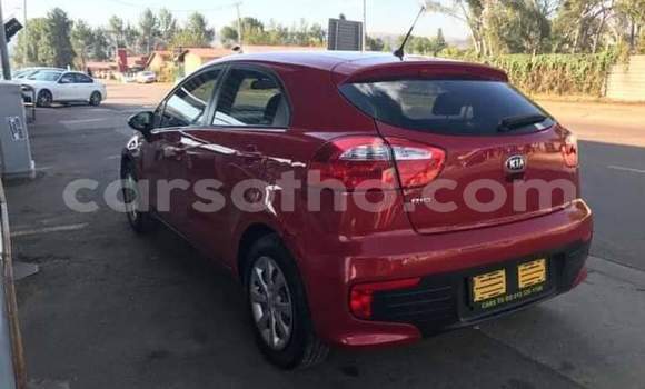 Buy Used Kia Rio Red Car in Maseru in Maseru Buy Used Kia Rio Red Car in Maseru in Maseru