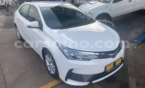 Buy Used Toyota Corolla White Car in Maseru in Maseru Buy Used Toyota Corolla White Car in Maseru in Maseru