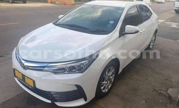 Buy Used Toyota Corolla White Car in Maseru in Maseru Buy Used Toyota Corolla White Car in Maseru in Maseru