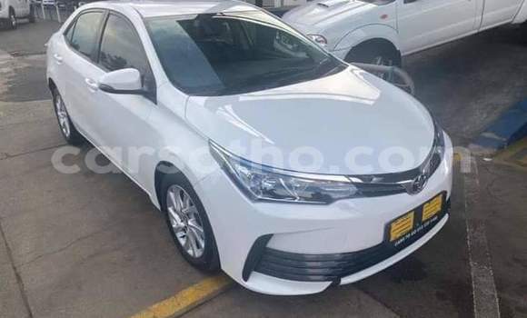 Buy Used Toyota Corolla White Car in Maseru in Maseru Buy Used Toyota Corolla White Car in Maseru in Maseru