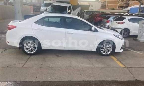 Buy Used Toyota Corolla White Car in Maseru in Maseru Buy Used Toyota Corolla White Car in Maseru in Maseru