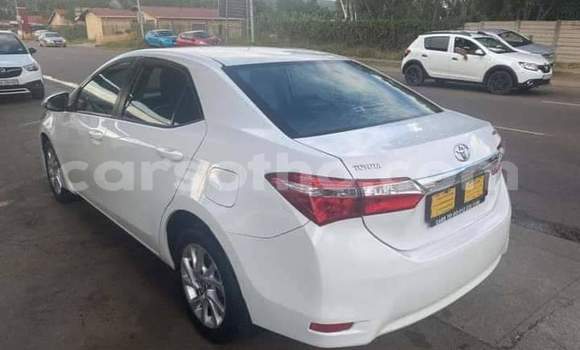 Buy Used Toyota Corolla White Car in Maseru in Maseru Buy Used Toyota Corolla White Car in Maseru in Maseru