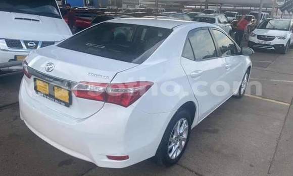 Buy Used Toyota Corolla White Car in Maseru in Maseru Buy Used Toyota Corolla White Car in Maseru in Maseru