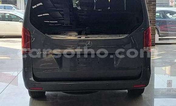 Buy Used Mercedes-Benz Viano Black Car in Maseru in Maseru Buy Used Mercedes-Benz Viano Black Car in Maseru in Maseru