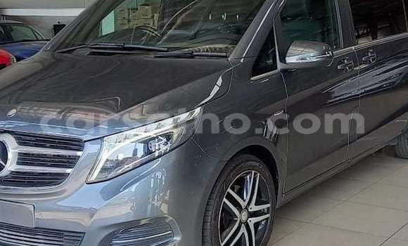 Buy Used Mercedes-Benz Viano Black Car in Maseru in Maseru Buy Used Mercedes-Benz Viano Black Car in Maseru in Maseru