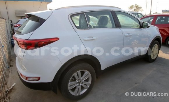 Sayi Imported Kia Sportage White Mota in Import - Dubai a Maseru Sayi Imported Kia Sportage White Mota in Import - Dubai a Maseru