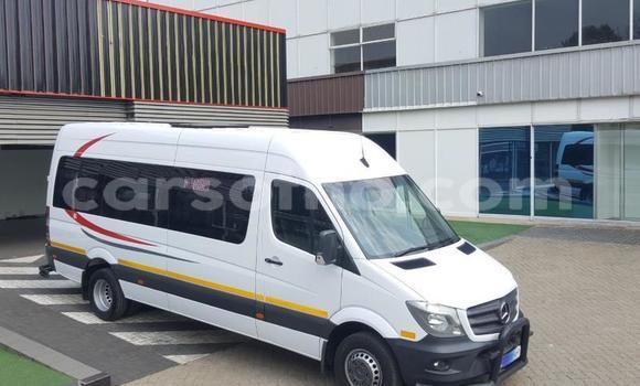 Acheter Occasion Utilitaire Mercedes‒Benz Sprinter Blanc à Butha–Buthe, Thaba-Tseka Acheter Occasion Utilitaire Mercedes‒Benz Sprinter Blanc à Butha–Buthe, Thaba-Tseka