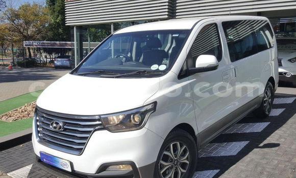 Acheter Occasion Voiture Hyundai H1 Blanc à Butha–Buthe, Thaba-Tseka Acheter Occasion Voiture Hyundai H1 Blanc à Butha–Buthe, Thaba-Tseka