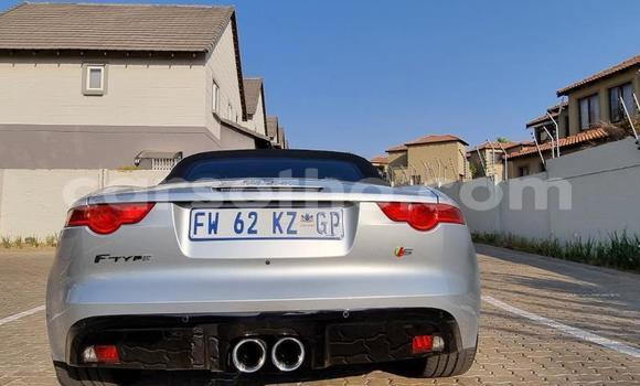 اشتري مستعمل Jaguar F-Type Silver سيارة في Maseru في Maseru اشتري مستعمل Jaguar F-Type Silver سيارة في Maseru في Maseru