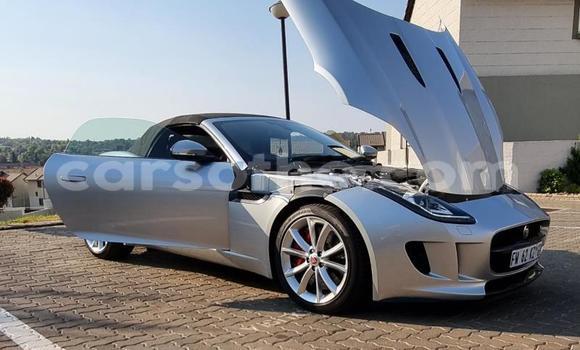 اشتري مستعمل Jaguar F-Type Silver سيارة في Maseru في Maseru اشتري مستعمل Jaguar F-Type Silver سيارة في Maseru في Maseru