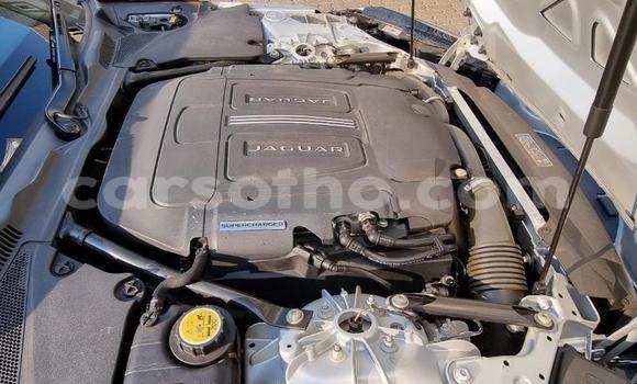 اشتري مستعمل Jaguar F-Type Silver سيارة في Maseru في Maseru اشتري مستعمل Jaguar F-Type Silver سيارة في Maseru في Maseru