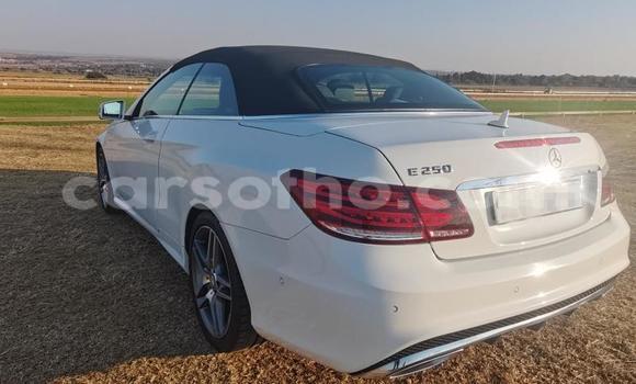 Buy Used Mercedes-Benz E–Class White Car in Maseru in Maseru Buy Used Mercedes-Benz E–Class White Car in Maseru in Maseru