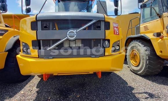 اشتري مستعمل Volvo F4 Other شاحنة في Maseru في Maseru اشتري مستعمل Volvo F4 Other شاحنة في Maseru في Maseru