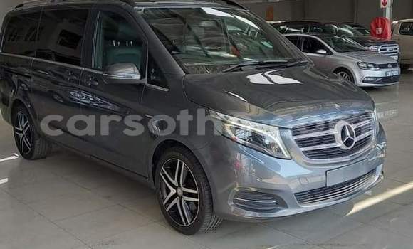 Buy Used Mercedes-Benz 250 Other Car in Maseru in Maseru Buy Used Mercedes-Benz 250 Other Car in Maseru in Maseru