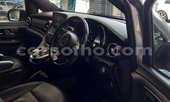 Buy Used Mercedes-Benz 250 Other Car in Maseru in Maseru Buy Used Mercedes-Benz 250 Other Car in Maseru in Maseru