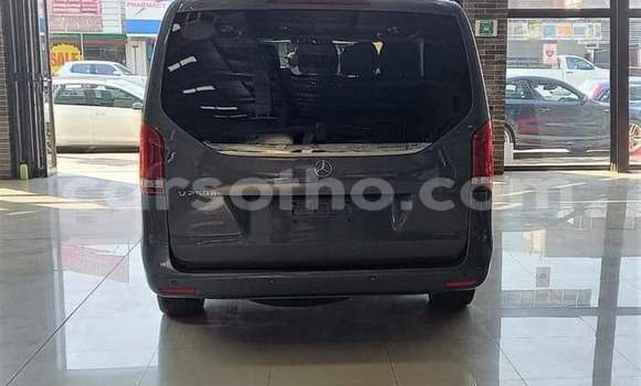 Buy Used Mercedes-Benz 250 Other Car in Maseru in Maseru Buy Used Mercedes-Benz 250 Other Car in Maseru in Maseru