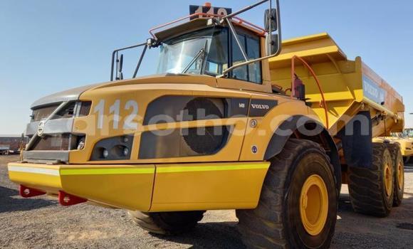 اشتري مستعمل Volvo F4 Other شاحنة في Maseru في Maseru اشتري مستعمل Volvo F4 Other شاحنة في Maseru في Maseru