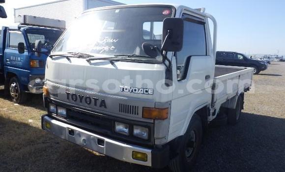 Acheter Occasion Utilitaire Toyota Dyna Autre à Butha–Buthe, Thaba-Tseka Acheter Occasion Utilitaire Toyota Dyna Autre à Butha–Buthe, Thaba-Tseka