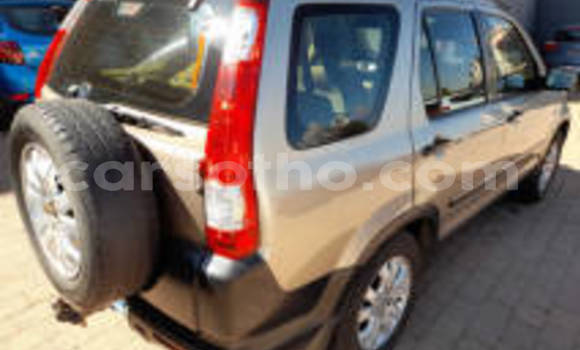 Sayi Na hannu Honda CR–V Other Mota in Hlotse a Leribe Sayi Na hannu Honda CR–V Other Mota in Hlotse a Leribe