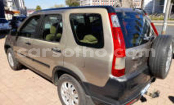 Sayi Na hannu Honda CR–V Other Mota in Hlotse a Leribe Sayi Na hannu Honda CR–V Other Mota in Hlotse a Leribe