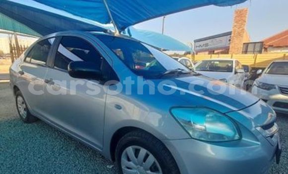 Sayi Na hannu Toyota Yaris Other Mota in Hlotse a Leribe Sayi Na hannu Toyota Yaris Other Mota in Hlotse a Leribe