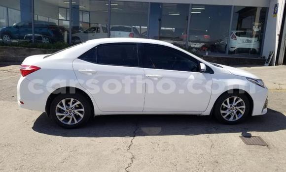 Acheter Occasion Voiture Toyota Corolla Blanc à Butha–Buthe, Thaba-Tseka Acheter Occasion Voiture Toyota Corolla Blanc à Butha–Buthe, Thaba-Tseka